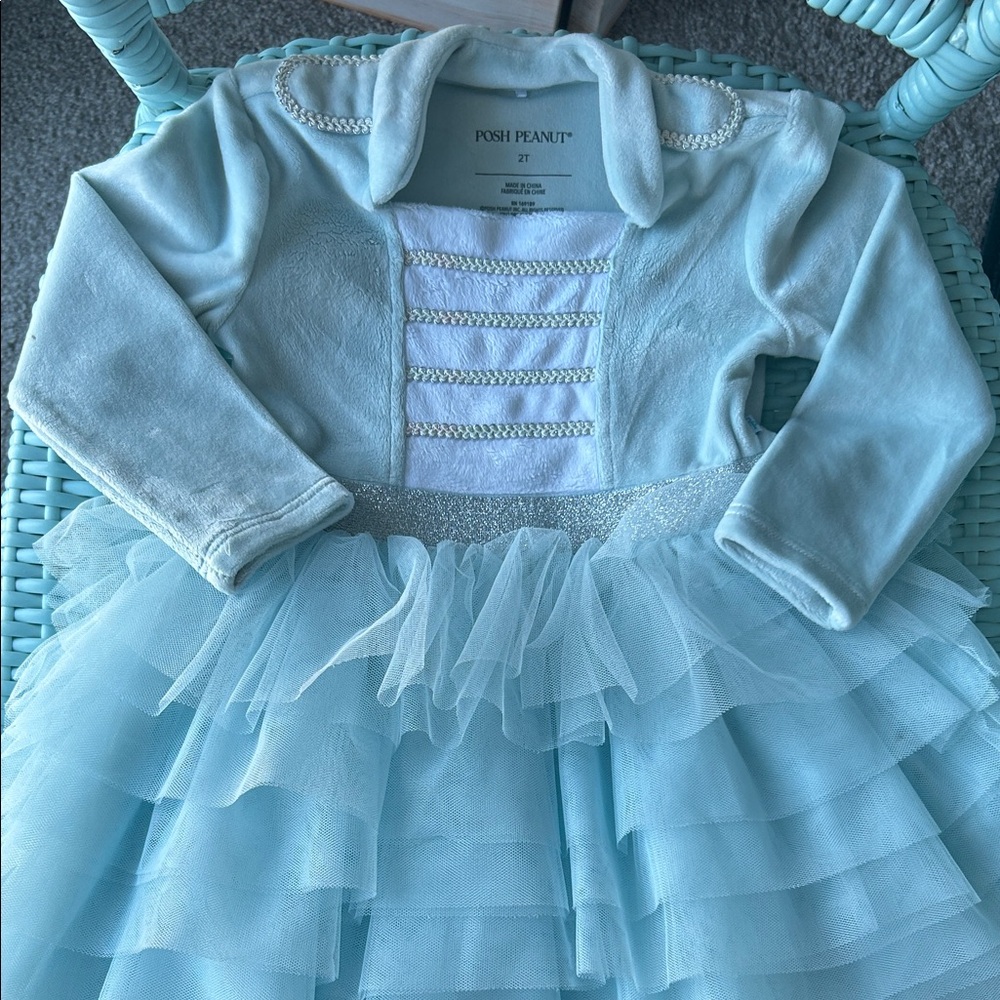 Posh Peanut Light Blue Tulle Dance Dress
